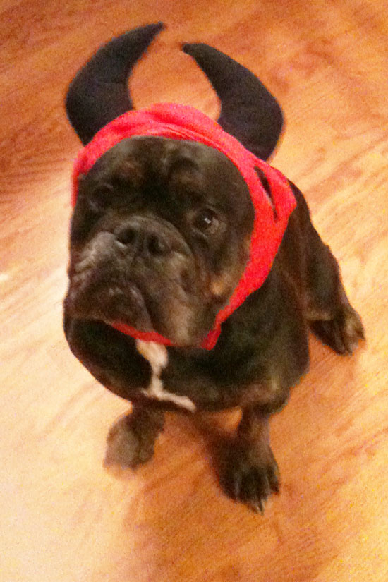 Bruschi can’t wait for Halloween